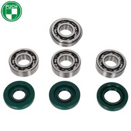 Motoren-Revisionsset KW neues Modell Puch E50